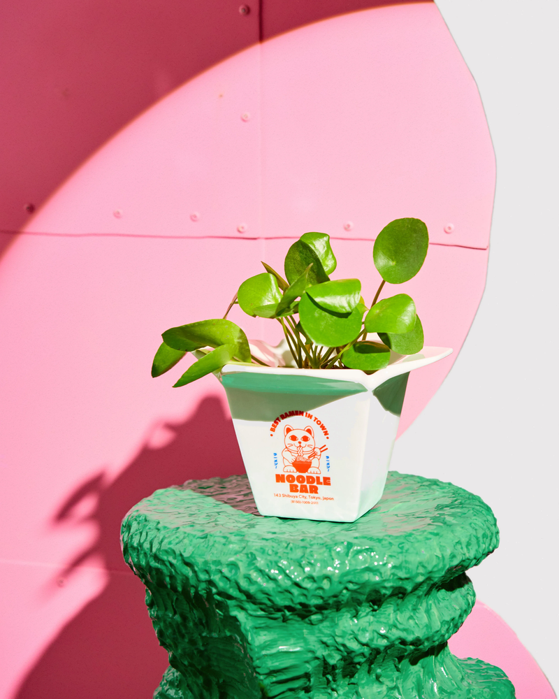 FLUID MARKET Vase Ramen Pot