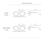 ADULTCreative Edition D Sunglasses-Colorblock Sand
