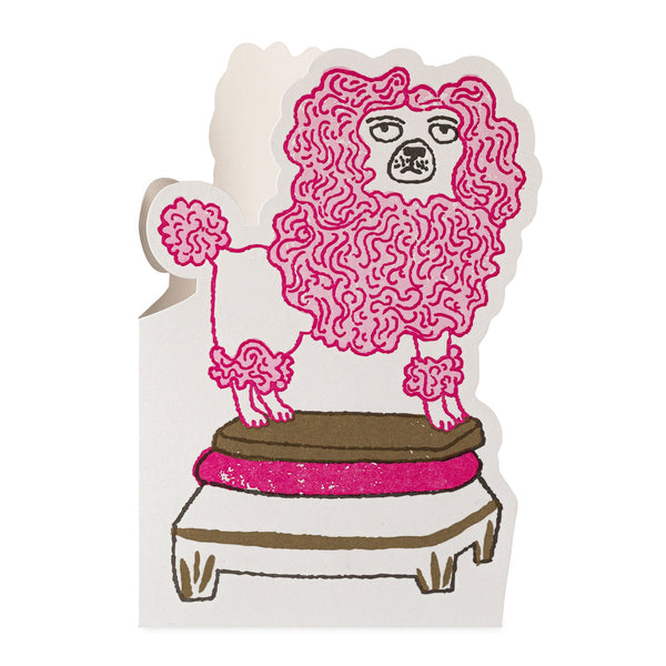 Archivist Poodle