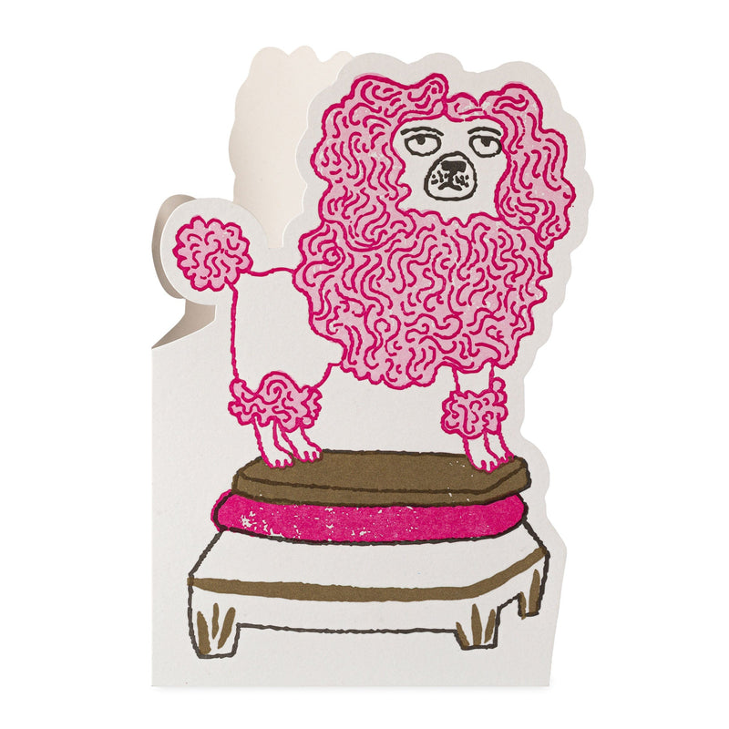 Archivist Poodle