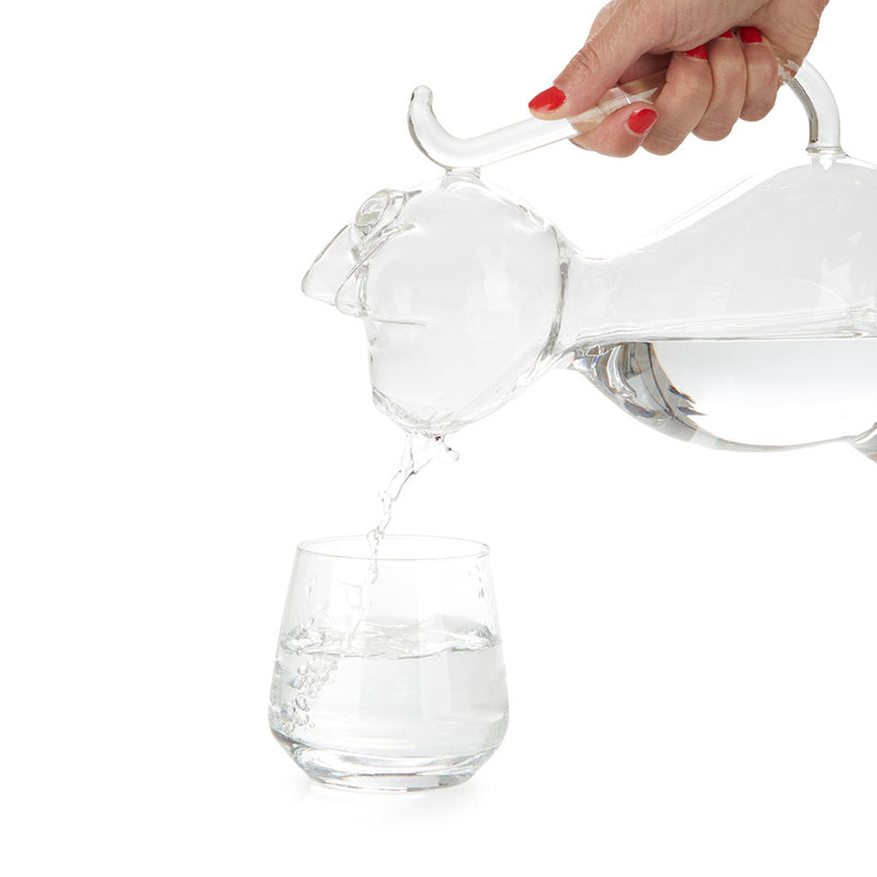 BALVI Water Jug Meow