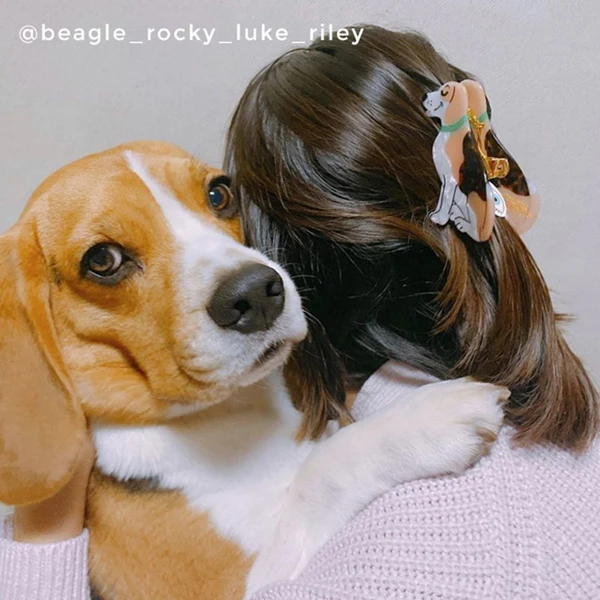 BEAGLE HAIR CLIP