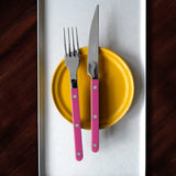 BISTROT SOLID - DINNER KNIFE - RASPBERRY