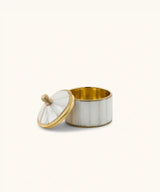 Bailey Circus Box Small Pearly