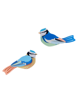 Blue Tits