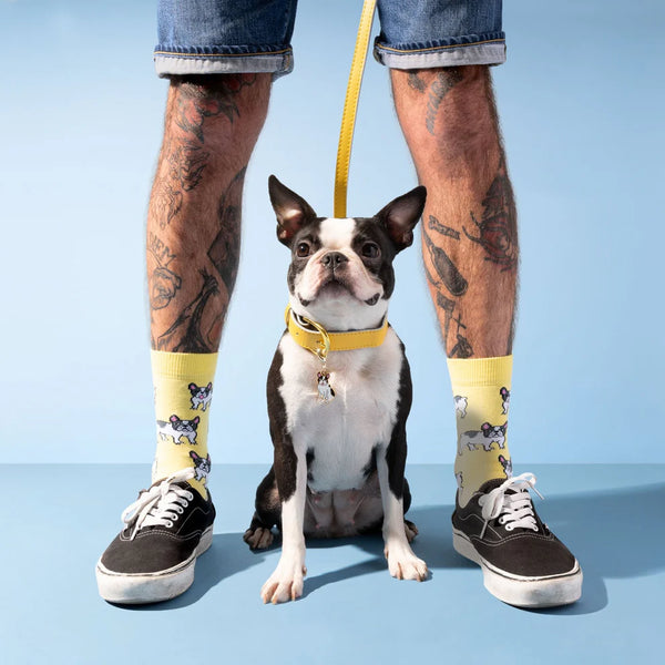Bulldog Socks