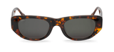 CHEETAH TORTOISE - GUYAM WITH CLASSICAL LENSES