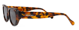CHEETAH TORTOISE - GUYAM WITH CLASSICAL LENSES