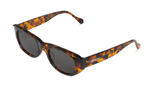 CHEETAH TORTOISE - GUYAM WITH CLASSICAL LENSES