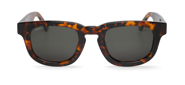 CHEETAH TORTOISE - SIESTA WITH CLASSICAL LENSES