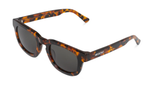 CHEETAH TORTOISE - SIESTA WITH CLASSICAL LENSES
