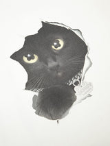 Cat Tee - Off-White
