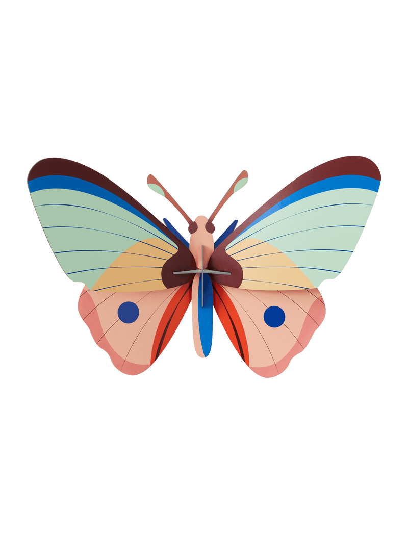 Cattleheart Butterfly