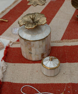 Chelsey Pearly Circus Box White Brass