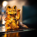 DONKEY Lucky Cat Cosmic Shiny Copper