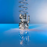 DONKEY Lucky Cat Cosmic Shiny Silver