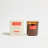 Double Wick Soy Candle - Plush Vetiver