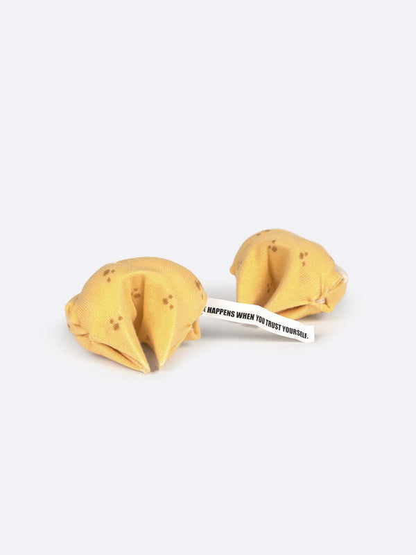 EAT MY SOCK Fortune Cookie