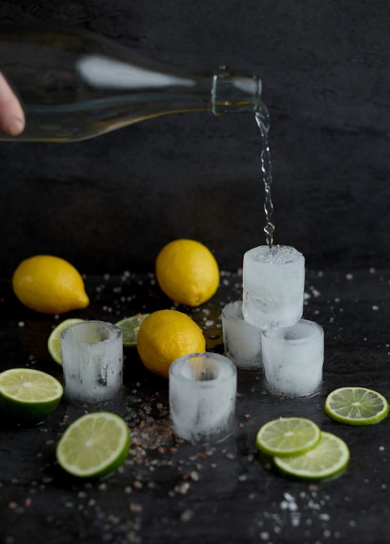 Gentlemen's Hardware Ice Cube Shot Glass Mold