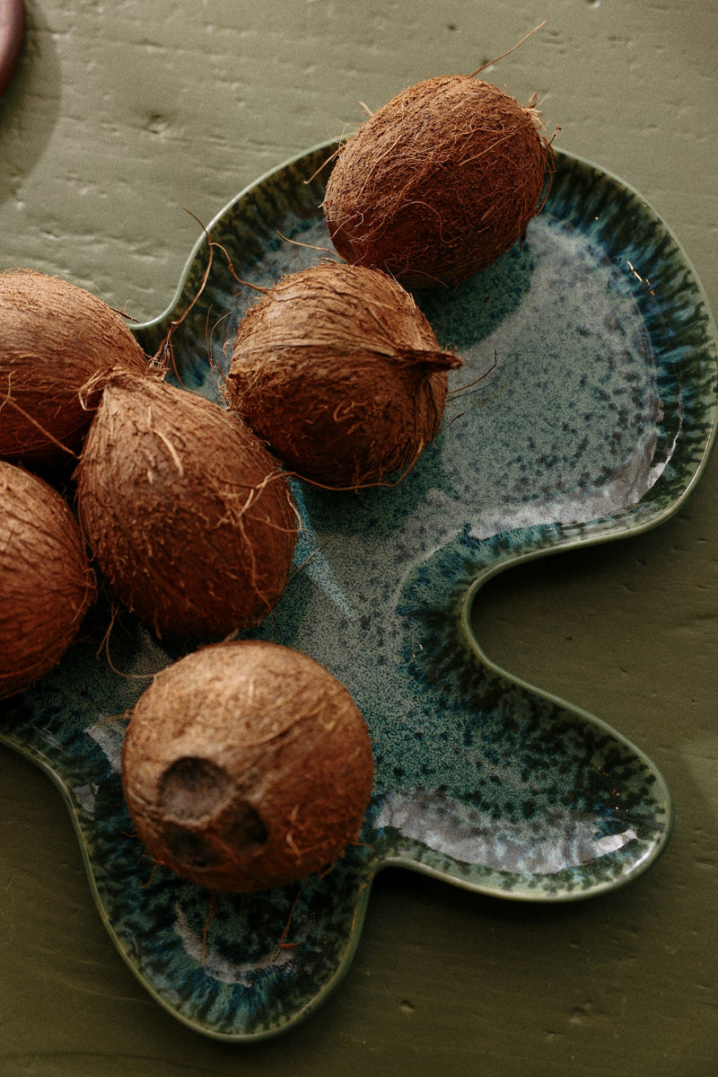 HKLIVING Shell plate teal