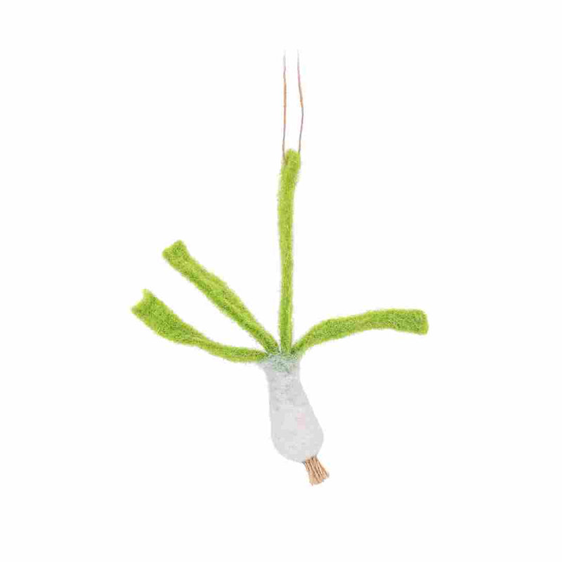 Sass and Belle Winter Vegetable Felt Decorations Assorted