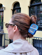 Hand-painted Sardines Claw Hair Clip