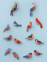 Kingfishers