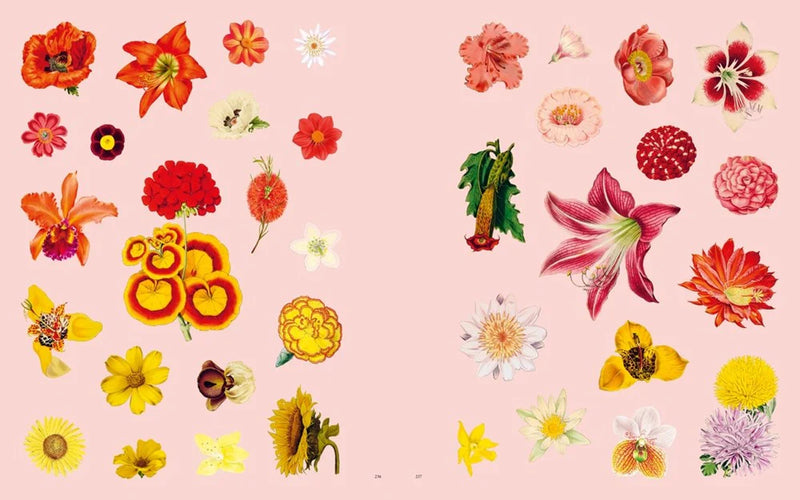 Extraordinary Things Sticker Book