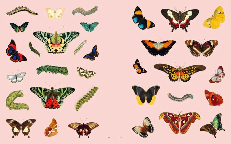 Extraordinary Things Sticker Book