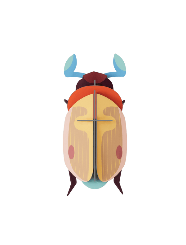 Lemon Fruit Beetle