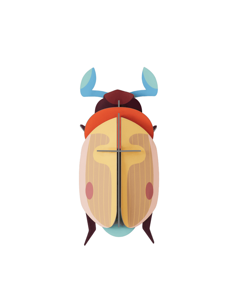Lemon Fruit Beetle