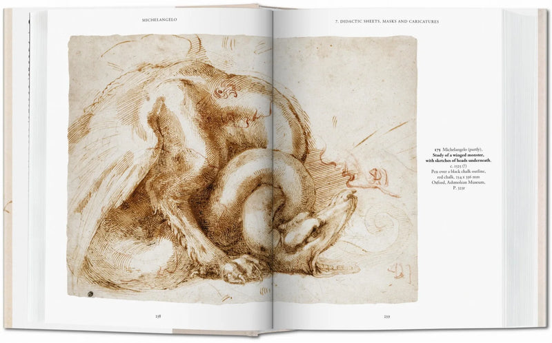 MICHELANGELO THE GRAPHIC WORK