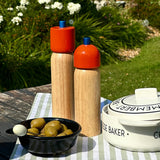  Maegen Medium Salt/Pepper Grinder - Orange/Blue  