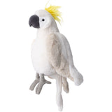 Mango white parrot