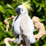 Mango white parrot