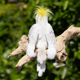 Mango white parrot