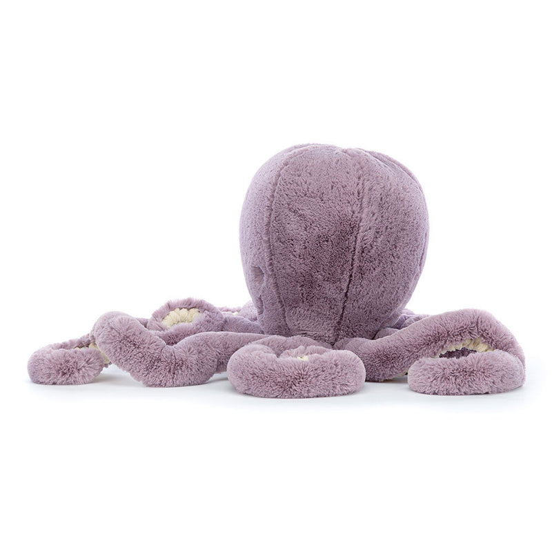 Maya Octopus Little