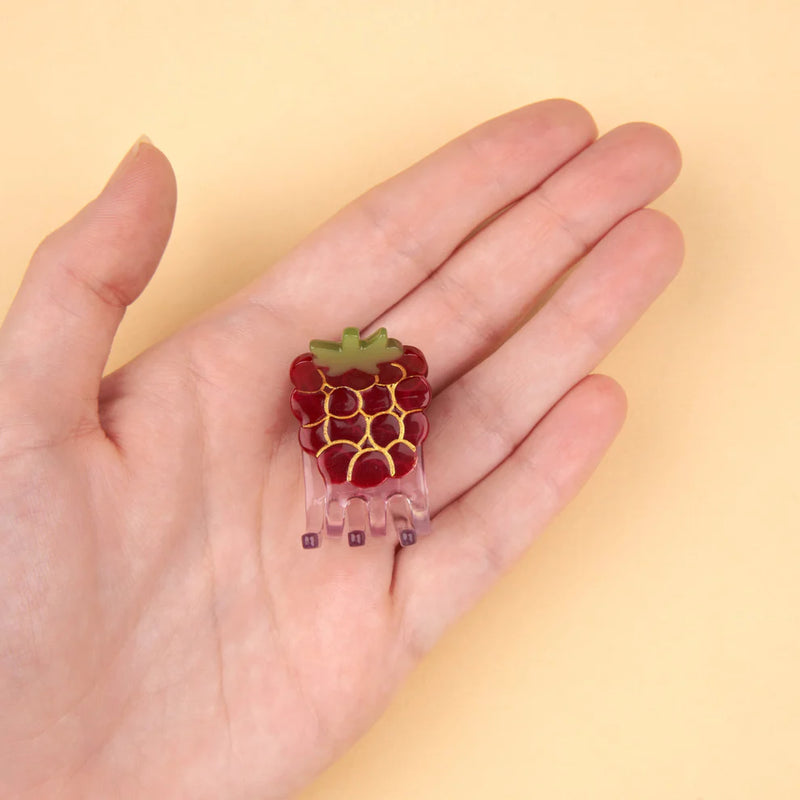 Mini Raspberry Hair Claw