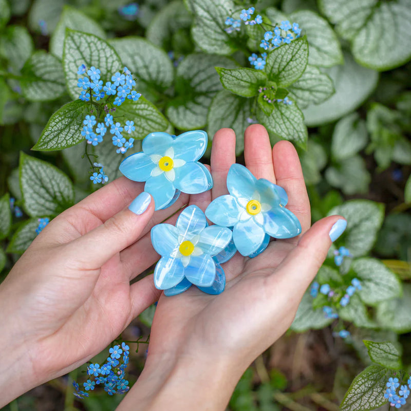 Myosotis hair clip
