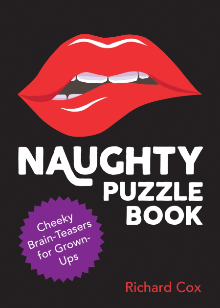 Naughty Puzzle Book