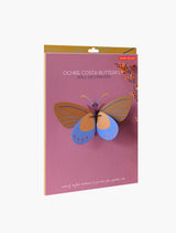 Ochre Costa Butterfly