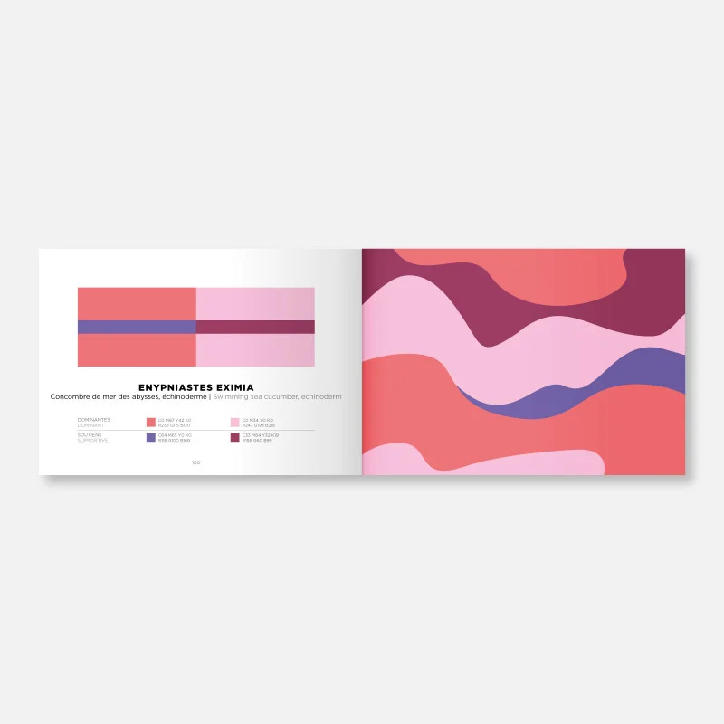 PAPIER TIGRE Colors inspiration - Volume 2