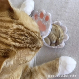 Paw Mirror