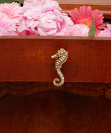 Pippa Seahorse Knob Right Brass