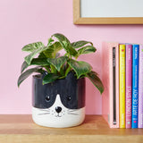 Plant Pot Kitty Black/White