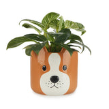 Plant Pot Woof Brown