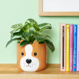 Plant Pot Woof Brown