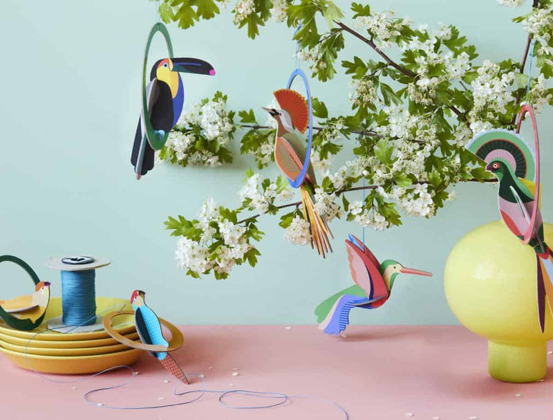 Pop Out Card, Parakeets