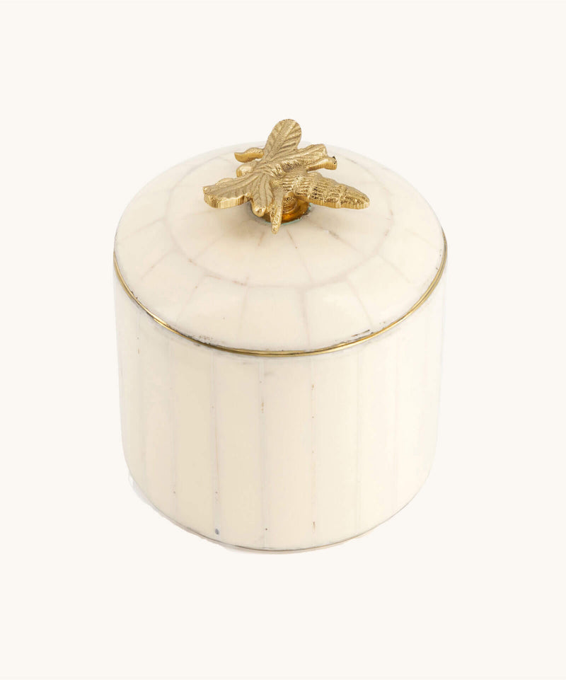 Queen Bee Circus Box Large White