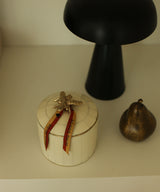 Queen Bee Circus Box Large White